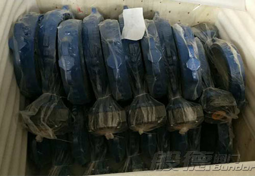 般德渦輪蝶閥、止回閥、過(guò)濾器等出口以色列